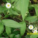 다문화가족지원센타 이미지