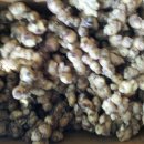 한얼농장 이미지