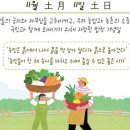 탑팀합기도 이미지