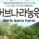 강원평창농원 이미지