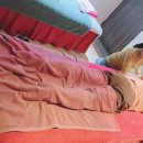 힐링체형관리센터