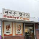 라떼는말이야 | 오남 빵집 [라떼는말이야] 주차정보, 가격, 방문후기🌸