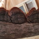 방태산마당바위민박 이미지