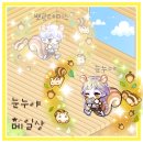엘리시움 눈누야 | 첫 글 스틸하기, 눈누 메일상, 여로셋, 농장사진