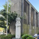 가톨릭병원 | 가톨릭대학교 여의도 성모병원 | 충수염(맹장) 수술 후기