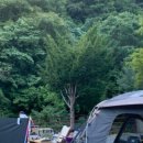 왕소나무민박 이미지