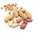 건강이야기 이미지