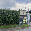 마트(메트로마트) | [필리핀 세부] 라부요보다 맛있었던 a-cafe 망고빙수 맛집, 샹스몰 메트로마트 추천 내돈내산 후기 (6)