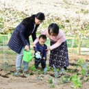 박종일농장 아시아경제
