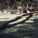 기회송림 화장실 이미지