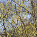 신목동역 2번출구 이미지