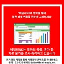 서광태양광발전소 이미지
