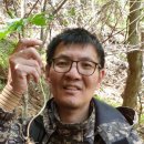 살랑골산약초 이미지