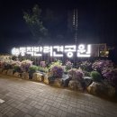 노량진역(3) | 노량진역 동작반려견공원 서울 오프리쉬 애견 놀이터 주차 꿀팁 후기