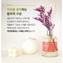 페트리커 | 디아로마 디퓨저 후기