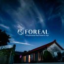 표선공인중개사사무소 이미지