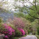 선녀와 나무꾼의 힐하우스 이미지