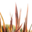 인천복지용구센터 이미지