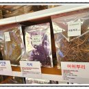 건강약초