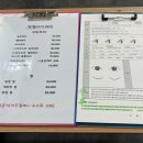 엔젤아이래쉬
