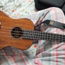 마음을 연주하는 우쿨렐레 이미지