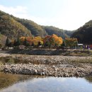 매월당민박 이미지