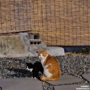 서하네 민박 이미지