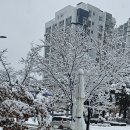 동편마을 이미지