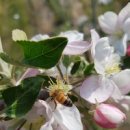 (주)양달말 이미지