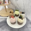 세종요리제과제빵학원 이미지