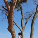 상읍농장 이미지