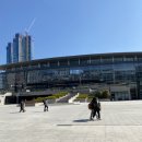 혼자부산여행3 2박3일/본전돼지국밥,흰여울문화마을,카페프리모