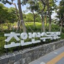 [서울 수국 명소 가볼만한곳]노원 초안산수국동산 실시간 수국 개화 상황 후기