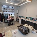 고양이 미용 미오 이미지