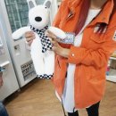 레인보우 뽑기샵 이미지