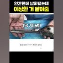 H0270 이미지