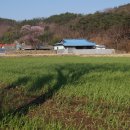 학동농장 이미지