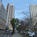 일월 치안센터 이미지