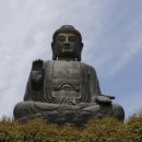 옴천사 아미타불 네이버블로그