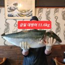 빅밴드앤코