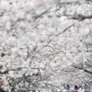 진해구 ⓒ-27 이미지