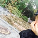 와우공원 이미지