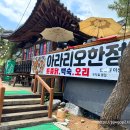 산성애견 이미지