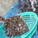 감포회직송 이미지