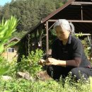 상아다방 - 공주시 중앙1길 56 | 상아다방