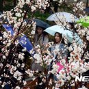 독립만세비 이미지