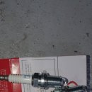 플러스카센타 이미지