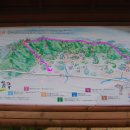 칠보산숲길 이미지