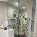 티알트리니티라파엘로청담의원 | 청담 성형외과 이전 수술 기록과 약물 복용 확인