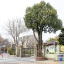서울사대부설초등학교 이미지
